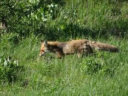 0_186eb2_3f9582d7_M.jpg