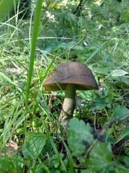 0_bcbed_156a7cd3_M.jpg