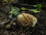 0_c705a_236ed94e_S.jpg