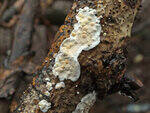 0_c702c_87b5a478_S.jpg