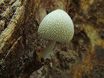 0_c7066_9c12d934_S.jpg
