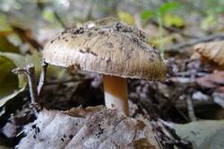 0_1cfe28_1a780c74_M.jpg