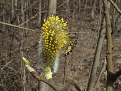 0_de982_cd375e07_M.jpg