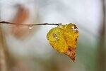 0_e868d_8fd6992c_S.jpg