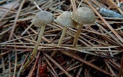 0_164d40_6ba75381_M.jpg