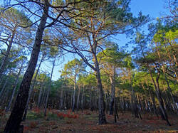 0_164d30_d28ea681_M.jpg
