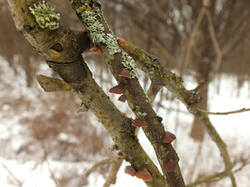 0_dd701_775ba556_M.jpg