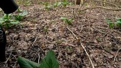 0_17198c_b9c29866_M.jpg