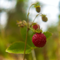 0_1e7d98_7466794_L.jpg