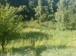 0_168f57_20411f3a_M.jpg