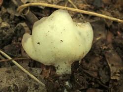 0_d6203_c569fa99_M.jpg
