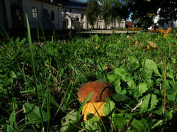 0_d9abf_4c61164c_M.jpg