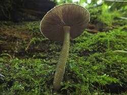 0_d9a3c_ccd37ef7_M.jpg