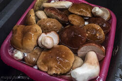 0_a5ff8_1eb948d7_M.jpg