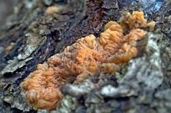 0_1b1b3e_f995ab22_M.jpg