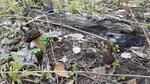 0_236467_7ba54db7_S.jpg
