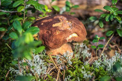 0_a52c2_1d274f7c_M.jpg