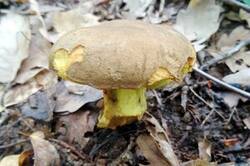 0_12b183_19e0782e_M.jpg
