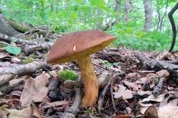 0_12b188_aa8451c0_M.jpg