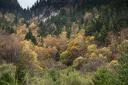0_a027c_c3519c6d_L.jpg