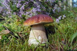 0_1955cb_6c9f82da_M.jpg