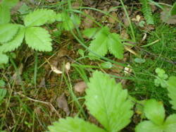 0_168b69_9ba336ca_M.jpg