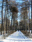 0_189ba5_7596063b_S.jpg