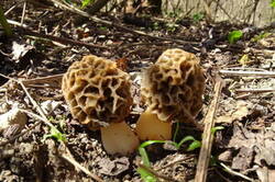 0_1e462c_2c0196cb_M.jpg