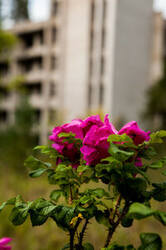 0_b36db_2fa06b73_M.jpg
