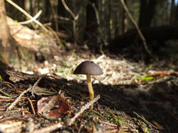 0_d4846_bda4905b_M.jpg