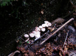0_1c5153_be7d849f_M.jpg