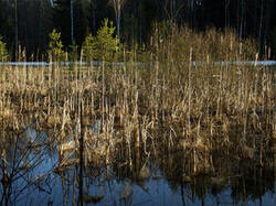 0_d4866_55c050cf_M.jpg
