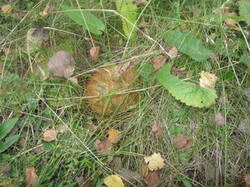 0_13fc95_5e25853d_M.jpg