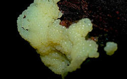 0_1532c9_bf89b198_M.jpg