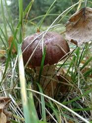 0_beec2_f60c4856_M.jpg