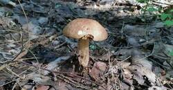 0_132db1_82f88938_M.jpg
