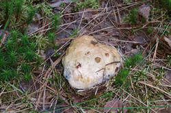 0_1623e8_623ab789_M.jpg