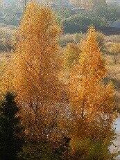 0_d88ff_ed586b3_L.jpg