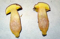 0_1e4140_aaa5abda_M.jpg