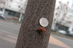 0_31f896_91e3c605_orig.jpg