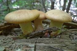 0_1b8dfb_93ec164e_M.jpg