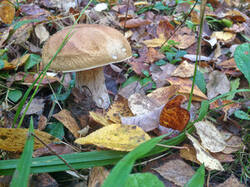 0_9f1d1_ec520613_M.jpg