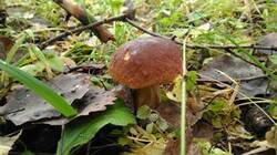 0_124865_f77d348c_M.jpg