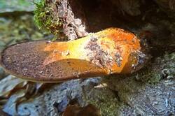 0_1c984f_b091c916_M.jpg