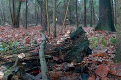 0_31f637_7fa3d407_orig.jpg