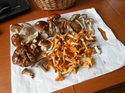 0_23139a_c69ae1c0_M.jpg