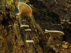 0_d7191_89165b0e_M.jpg