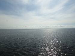 0_d5850_a29fe893_M.jpg