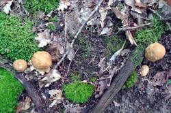 0_12b026_15a5b503_M.jpg