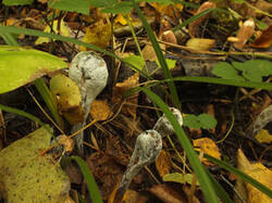 0_dac2c_536347ef_M.jpg